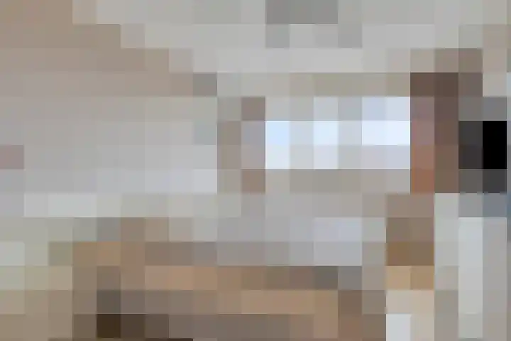 Grasbaan 156 Eindhoven thumbnail 15