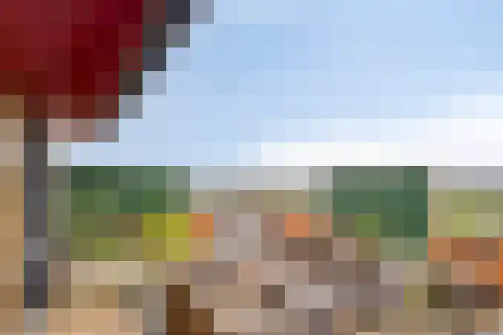 Grasbaan 156 Eindhoven thumbnail 23