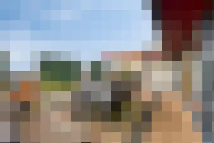 Grasbaan 156 Eindhoven thumbnail 24