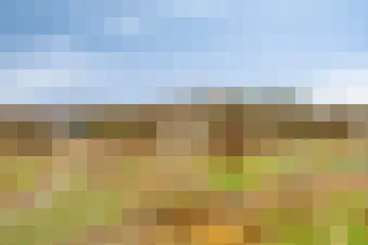 Grasbaan 156 Eindhoven thumbnail 27