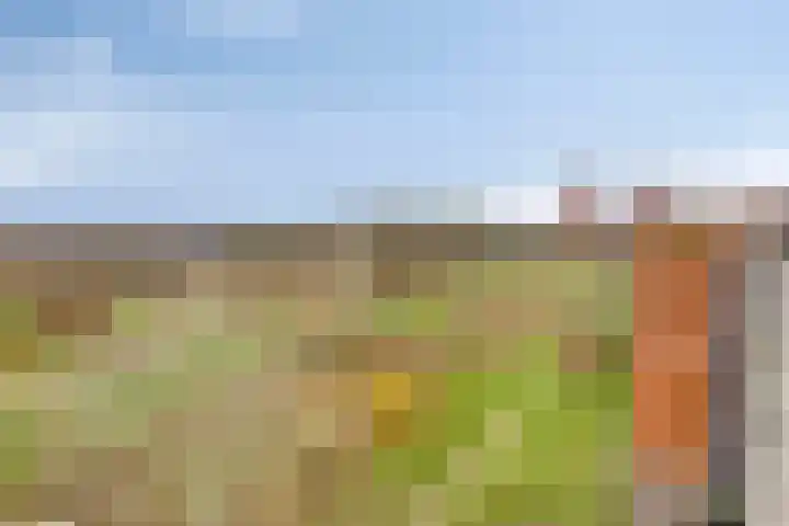 Grasbaan 156 Eindhoven thumbnail 28