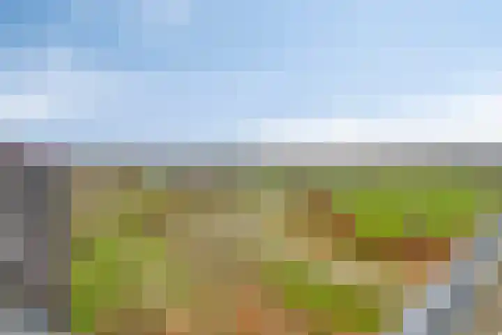 Grasbaan 156 Eindhoven thumbnail 29