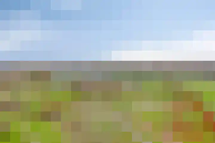 Grasbaan 156 Eindhoven thumbnail 30