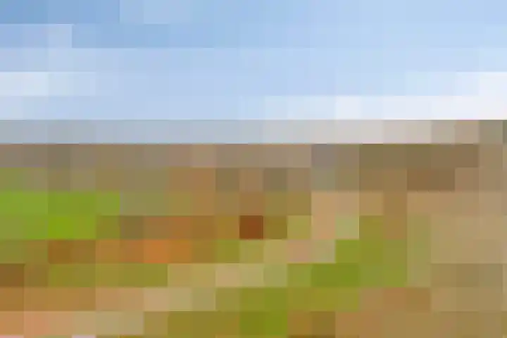 Grasbaan 156 Eindhoven thumbnail 31