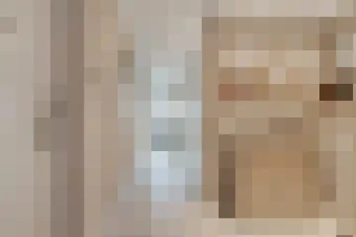 Grasbaan 156 Eindhoven thumbnail 5