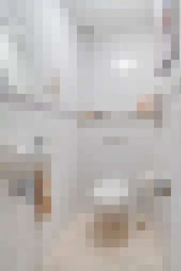 Grasbaan 156 Eindhoven thumbnail 8