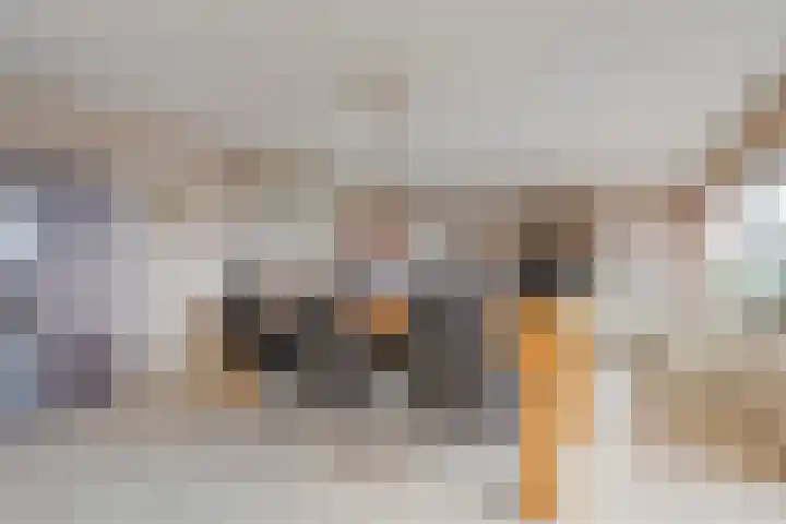 Grasbaan 156 Eindhoven thumbnail 9