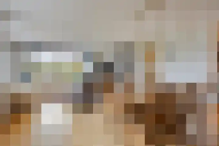 Grasbaan 176 Eindhoven thumbnail 12