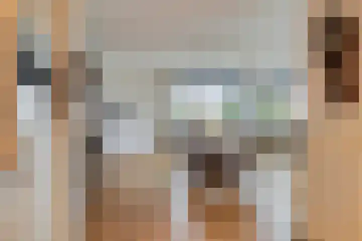 Grasbaan 176 Eindhoven thumbnail 16