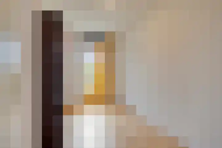Grasbaan 176 Eindhoven thumbnail 23