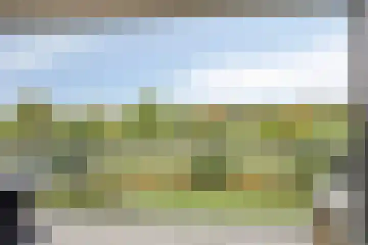 Grasbaan 176 Eindhoven thumbnail 26