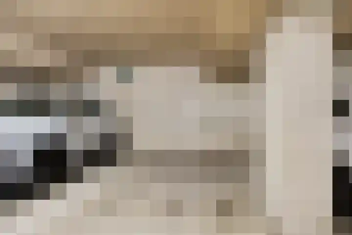 Grasbaan 176 Eindhoven thumbnail 29