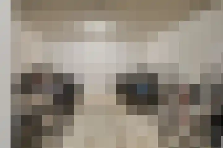 Grasbaan 176 Eindhoven thumbnail 30