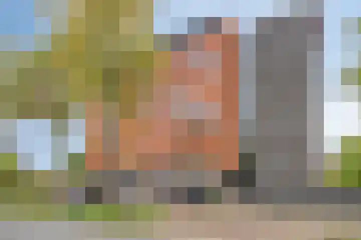Grasbaan 176 Eindhoven thumbnail 31