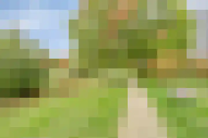 Grasbaan 176 Eindhoven thumbnail 34