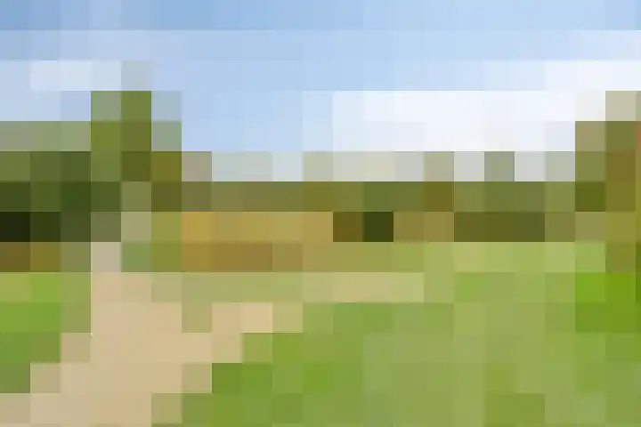 Grasbaan 176 Eindhoven thumbnail 35