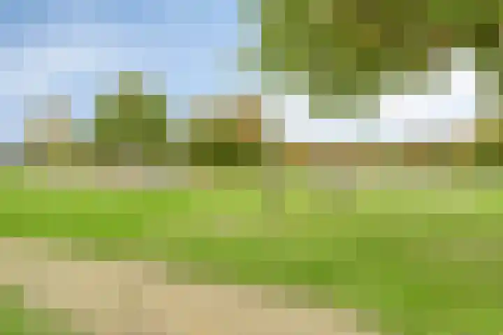 Grasbaan 176 Eindhoven thumbnail 36