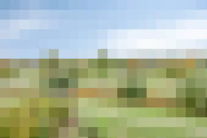 Grasbaan 176 Eindhoven thumbnail 4