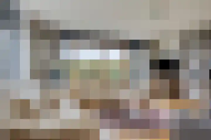 Grasbaan 176 Eindhoven thumbnail 8
