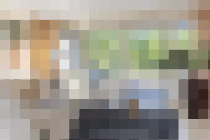 Grasbaan 4 Eindhoven thumbnail 16