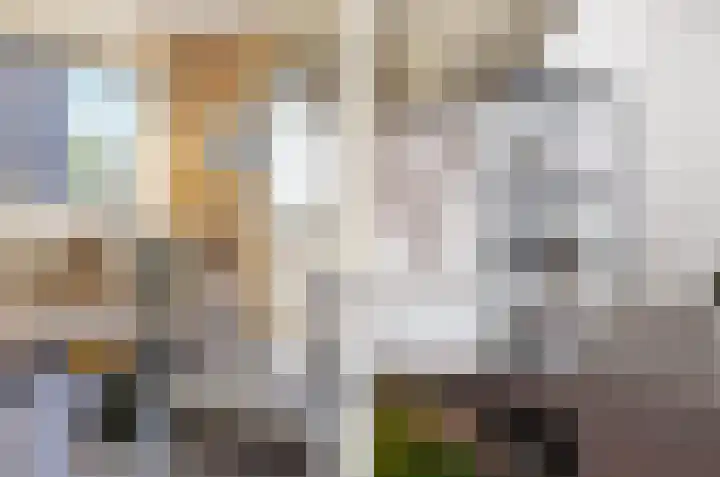 Grasbaan 4 Eindhoven thumbnail 18