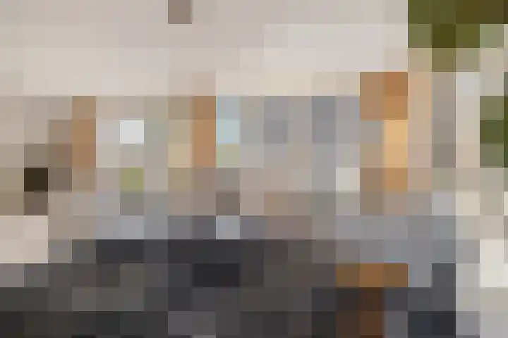 Grasbaan 4 Eindhoven thumbnail 19
