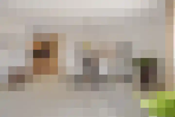 Grasbaan 4 Eindhoven thumbnail 21