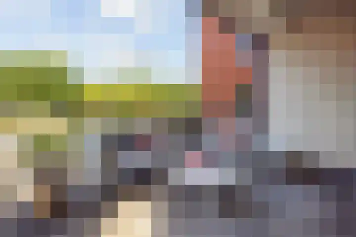 Grasbaan 4 Eindhoven thumbnail 23