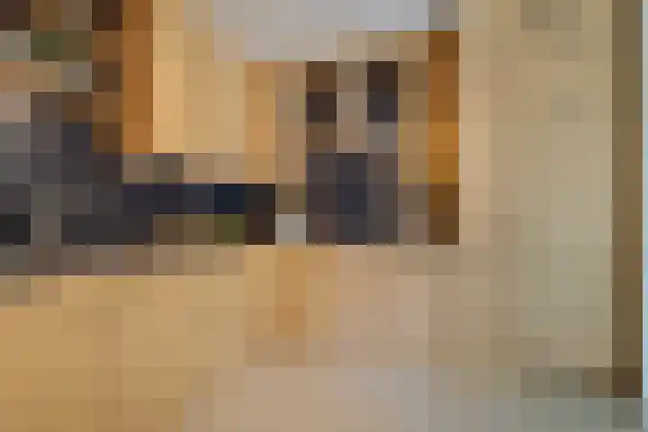 Grasbaan 4 Eindhoven thumbnail 29