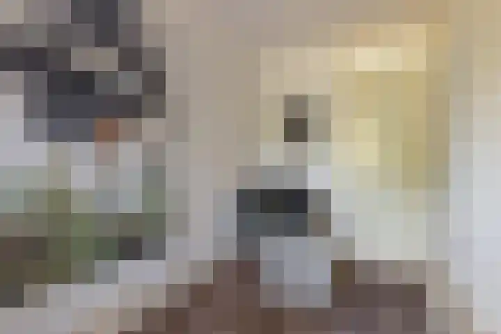 Grasbaan 4 Eindhoven thumbnail 36