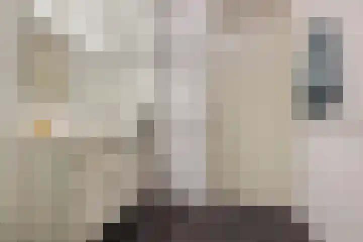 Grasbaan 4 Eindhoven thumbnail 38