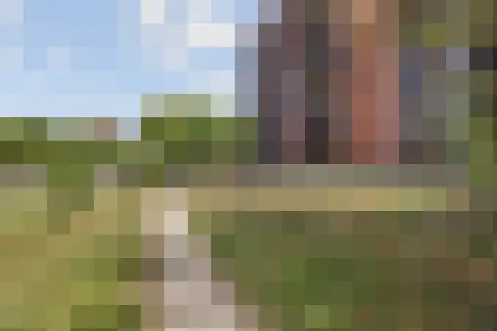 Grasbaan 4 Eindhoven thumbnail 43