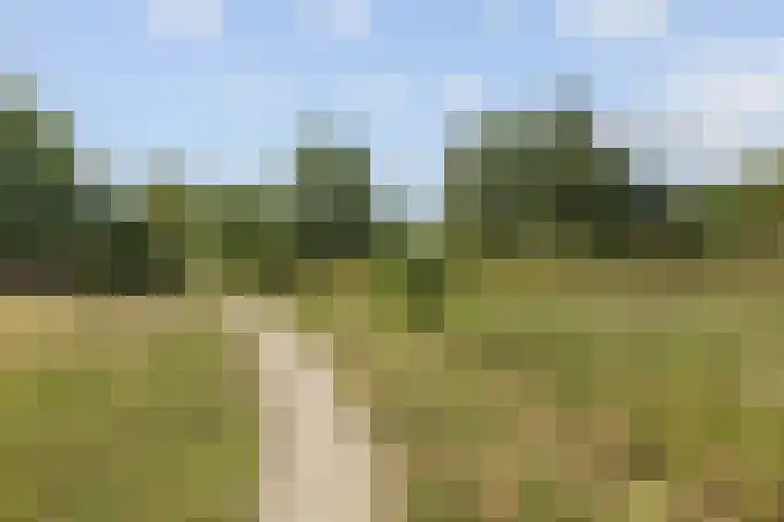Grasbaan 4 Eindhoven thumbnail 47