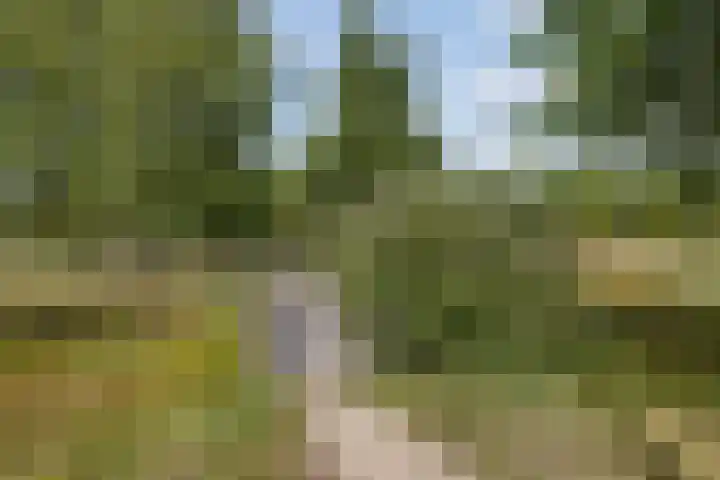 Grasbaan 4 Eindhoven thumbnail 48