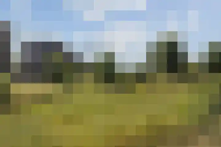 Grasbaan 4 Eindhoven thumbnail 49