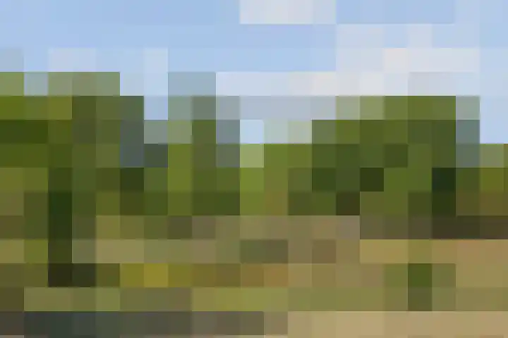 Grasbaan 4 Eindhoven thumbnail 5