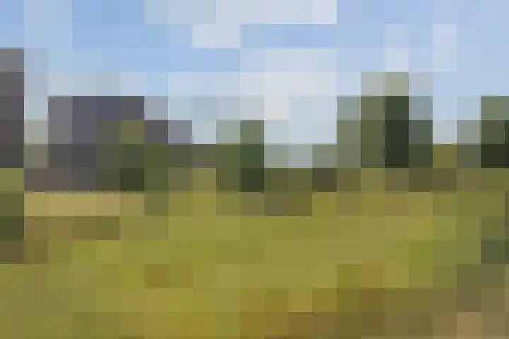 Grasbaan 4 Eindhoven thumbnail 50