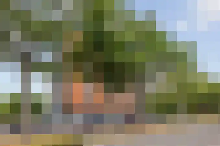 Grasbaan 4 Eindhoven thumbnail 8