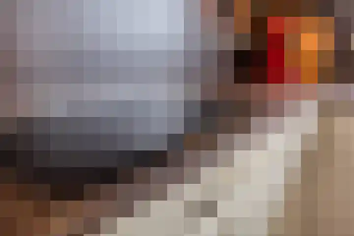 Grasbaan 50 Eindhoven thumbnail 17