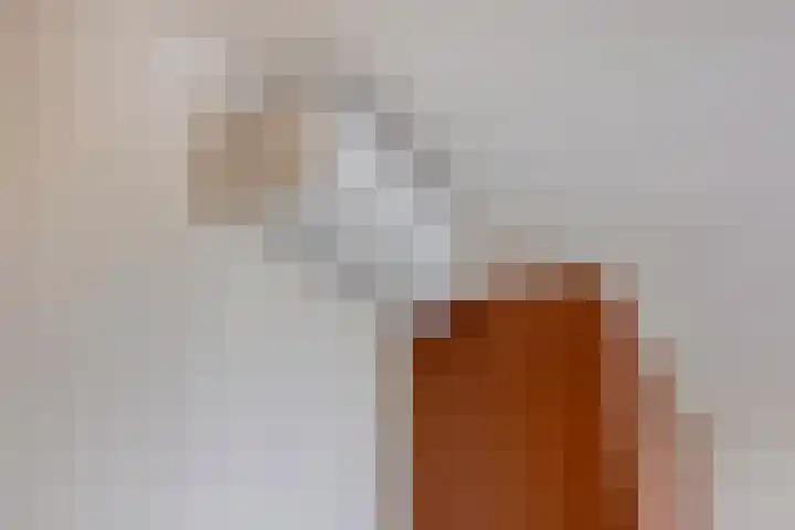 Grasbaan 50 Eindhoven thumbnail 23