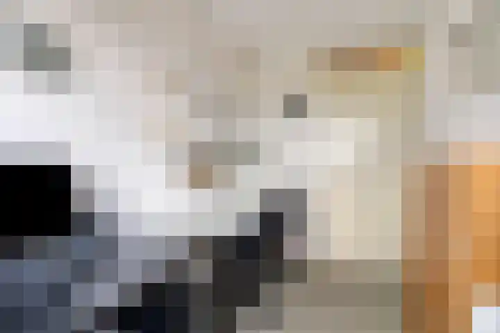 Grasbaan 50 Eindhoven thumbnail 28