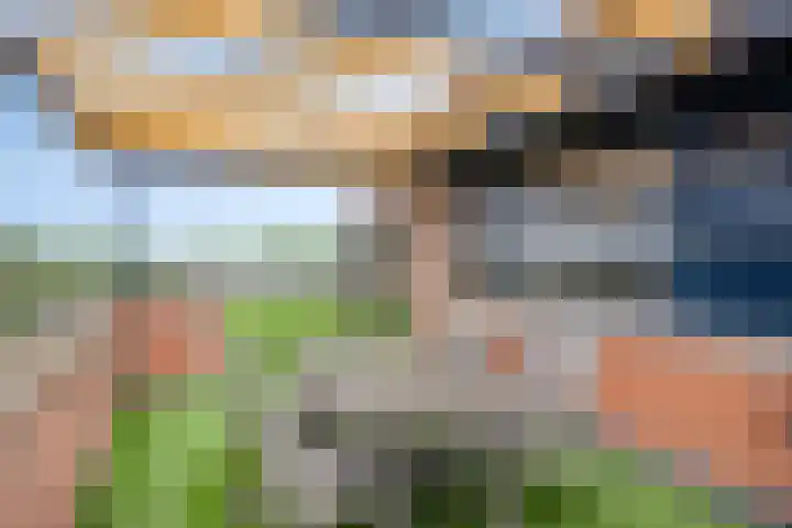 Grasbaan 50 Eindhoven thumbnail 35