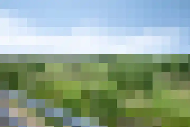 Grasbaan 50 Eindhoven thumbnail 37
