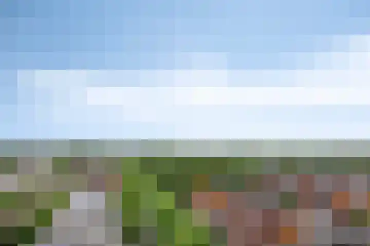 Grasbaan 50 Eindhoven thumbnail 38
