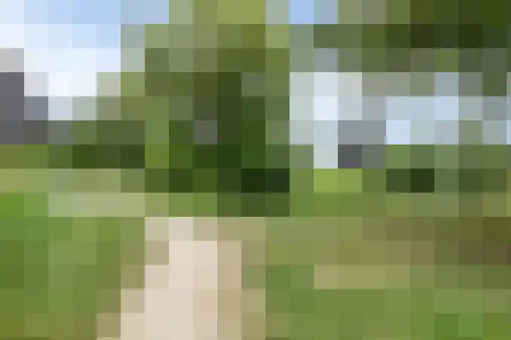 Grasbaan 50 Eindhoven thumbnail 42