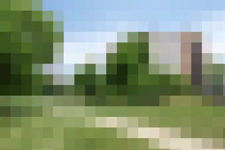 Grasbaan 50 Eindhoven thumbnail 43
