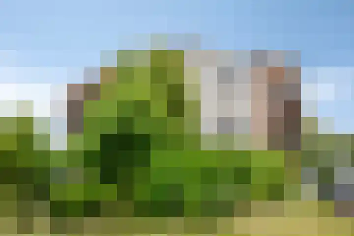 Grasbaan 50 Eindhoven thumbnail 44