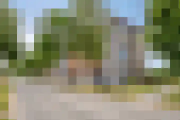 Grasbaan 50 Eindhoven thumbnail 45