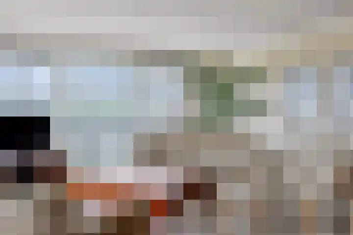 Grasbaan 50 Eindhoven thumbnail 9