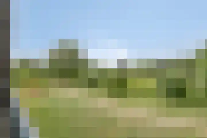 Grasbaan 68 Eindhoven thumbnail 10